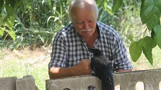 Karga kendisine yapılan iyiliği unutmadı
