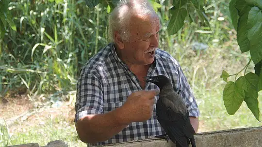 Karga kendisine yapılan iyiliği unutmadı