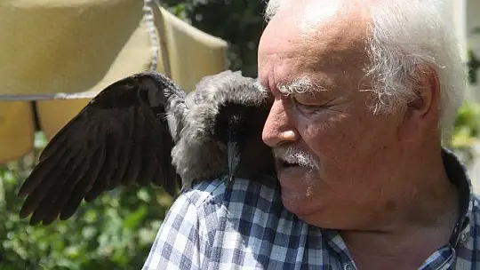 Karga kendisine yapılan iyiliği unutmadı