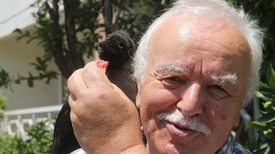 Karga kendisine yapılan iyiliği unutmadı