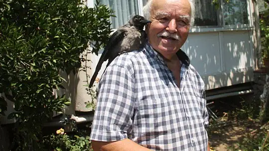 Karga kendisine yapılan iyiliği unutmadı