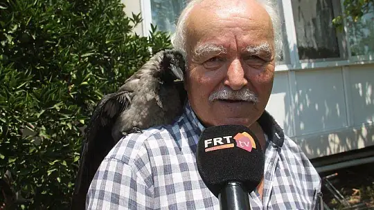 Karga kendisine yapılan iyiliği unutmadı