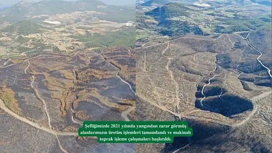 Kavaklıdere'de yanan alanlarda çalışmalar sürüyor