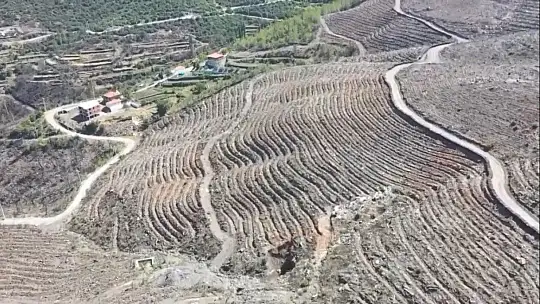 Kavaklıdere'de yanan alanlarda çalışmalar sürüyor