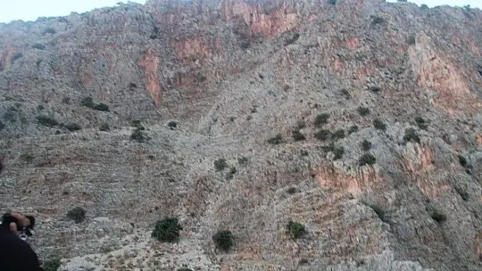 Hamile kadın için cinayet şüphesi