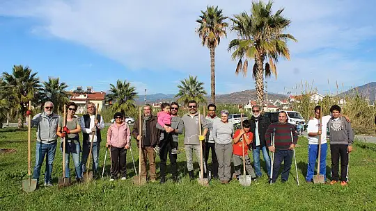 Kent Konseyi fidan dikti