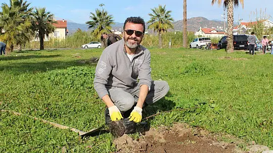 Kent Konseyi fidan dikti