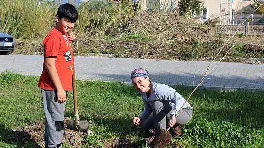 Kent Konseyi fidan dikti
