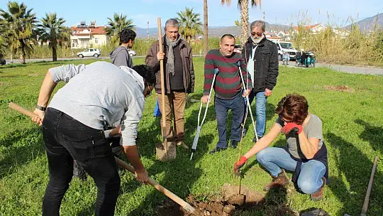 Kent Konseyi fidan dikti