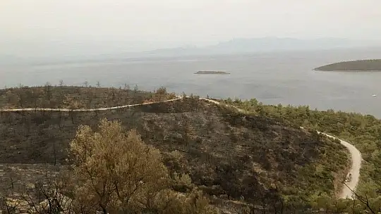 Kissebükü'nde topyekûn mücadele var