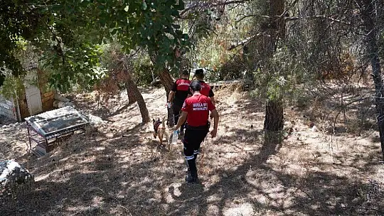 Köpeğin getirdiği insan kafatası polisi alarma geçirdi