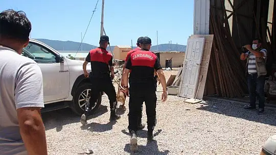 Köpeğin getirdiği insan kafatası polisi alarma geçirdi