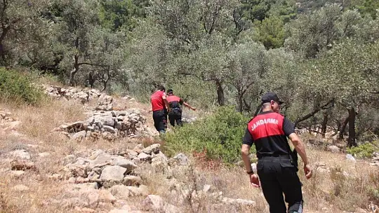 Köpeğin getirdiği insan kafatası polisi alarma geçirdi