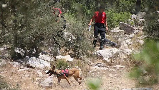 Köpeğin getirdiği insan kafatası polisi alarma geçirdi