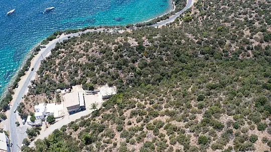 Köpeğin getirdiği insan kafatası polisi alarma geçirdi