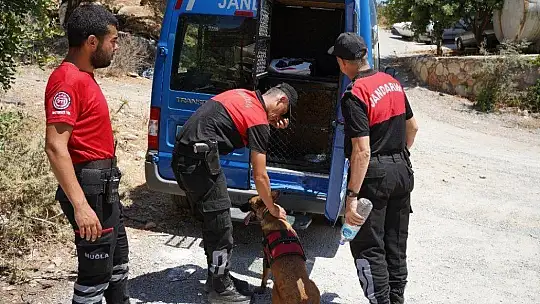 Köpeğin getirdiği insan kafatası polisi alarma geçirdi