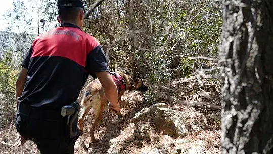 Köpeğin getirdiği insan kafatası polisi alarma geçirdi