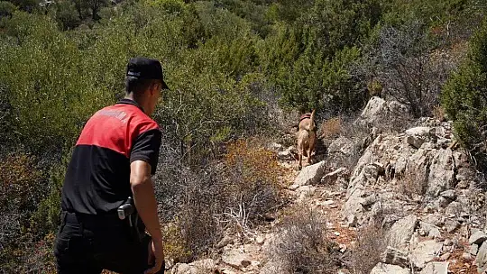 Köpeğin getirdiği insan kafatası polisi alarma geçirdi