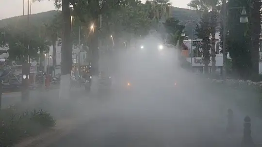 KURBAN KESİM YERLERİ İLE CADDE VE SOKAKLAR DEZENFEKTE EDİLDİ