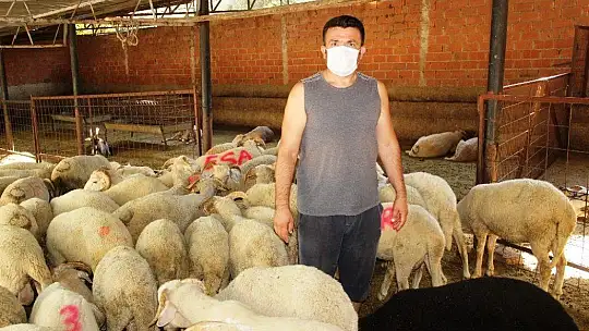 Kurban pazarlığında tokalaşma devri bitti, iple pazarlık başladı