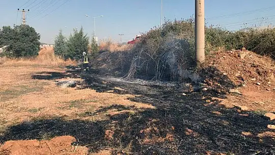 Kuş tarlayı yakıyordu