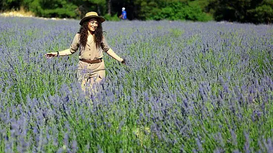 İlk Lavanta Hasadı Başkan Gürün'den 