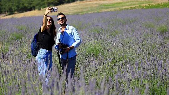 İlk Lavanta Hasadı Başkan Gürün'den 