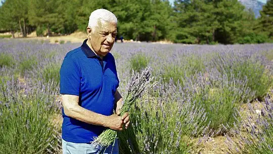 İlk Lavanta Hasadı Başkan Gürün'den 