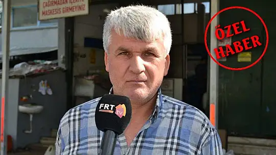 Zeytinyağı fabrikalarında yoğunluk yaşanıyor