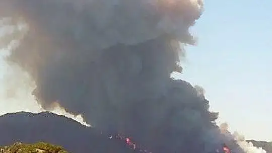 Marmaris'te korkutan yangın