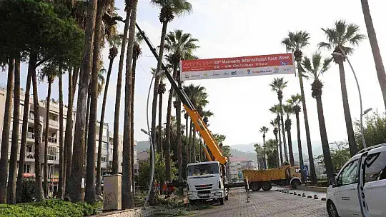 MARMARİS'TE PALMİYELER BAKIMA ALINDI