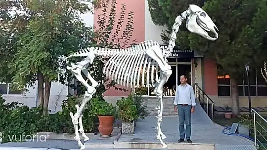 Milas Veteriner Fakültesi 28 fakülte arasında 11'inci sırada yer aldı