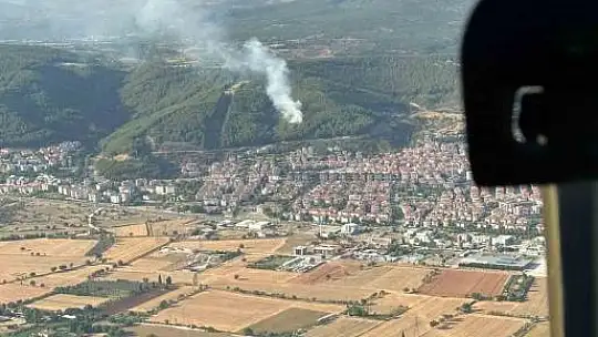 Muğla'da orman yangını