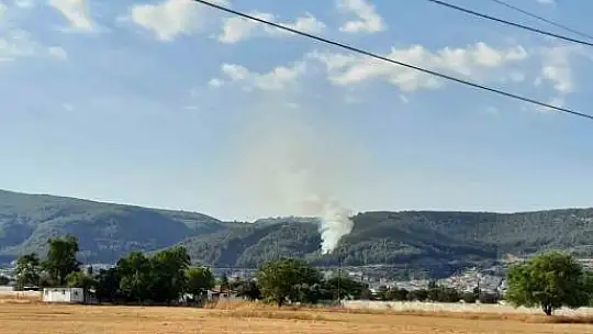 Muğla'da orman yangını