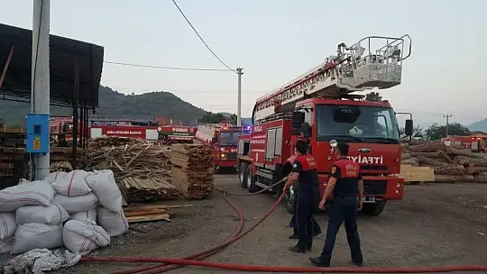 Ortaca'da kereste deposunda çıkan yangın hasara neden oldu