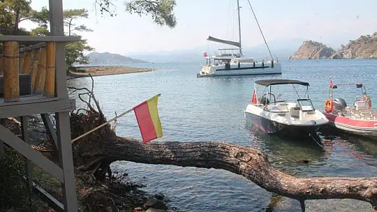Argın, 'Plaj işletmeciliğinde de marka olmak istiyoruz'