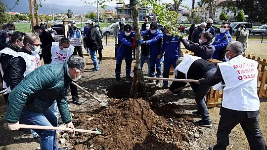 Sağlık Çalışanları için Anıt Ağaç dikildi