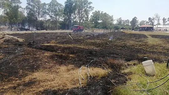 Seydikemer'de okaliptüs ağaçları yandı