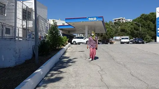 Sınava giderken köpeklerin saldırısına uğradı