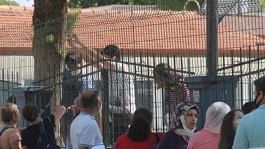 LGS'DE, ÖĞRENCİLER KADAR VELİLER DE HEYECANLIYDI