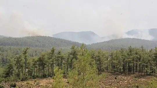Skorsky helikopterlerin alevlere karşı mücadelesi göz doldurdu