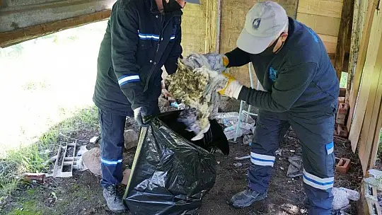 Tam kapanma döneminde atık miktarı arttı