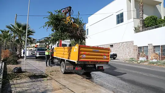 Kapsamlı Temizlik Faaliyeti Gerçekleştirildi