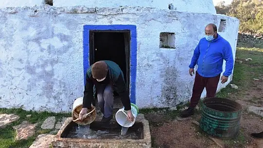 Turizm kenti Bodrum'un merkeze bağlı köyünde susuzluk isyanı