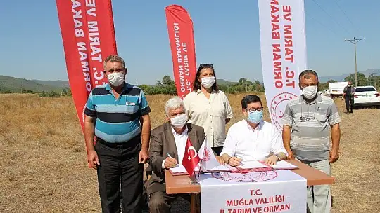 Ula'da 460 dönümlük alan mera olarak hizmet verecek