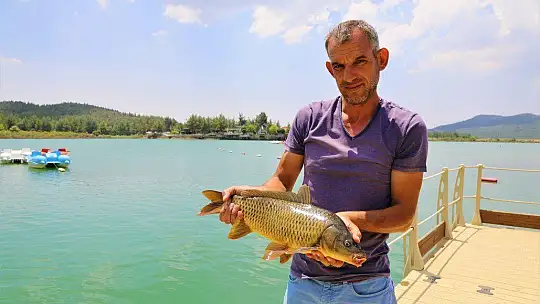 Ula Göleti'ne Bırakılan Sazanların Boyu 50 Santimetreye Ulaştı