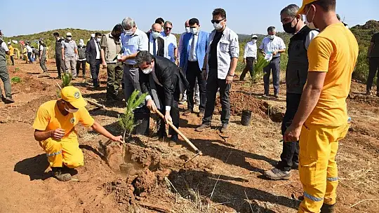 15 Temmuz Demokrasi Şehitlerimizin Anısına Fidan Dikildi