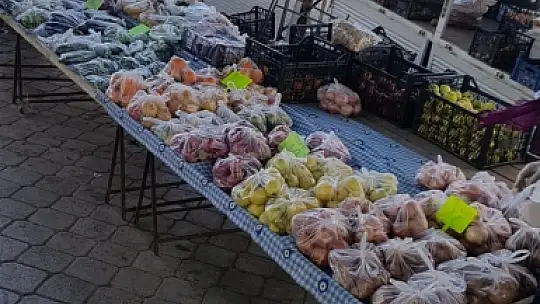 Başkan Otgöz 'Evde kal Seydikemer'