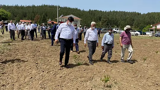 Gürün, Tarımsal Üretimin Önemini Vurguladı