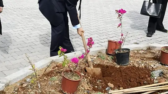 Kampüs yollarını çiçeklerle donattılar